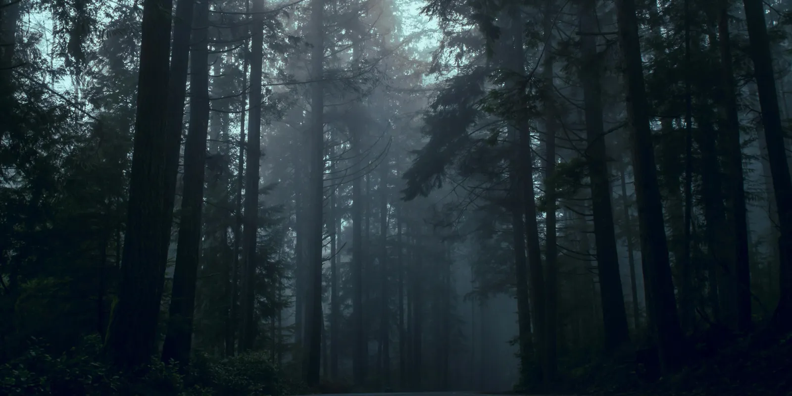 Saját sírját ásatta meg élettársával egy győri férfi