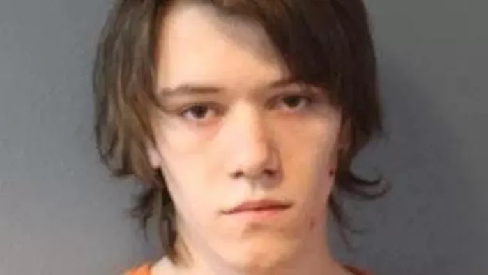 Hidegvérrel ölte meg testvérét a videójáték miatt