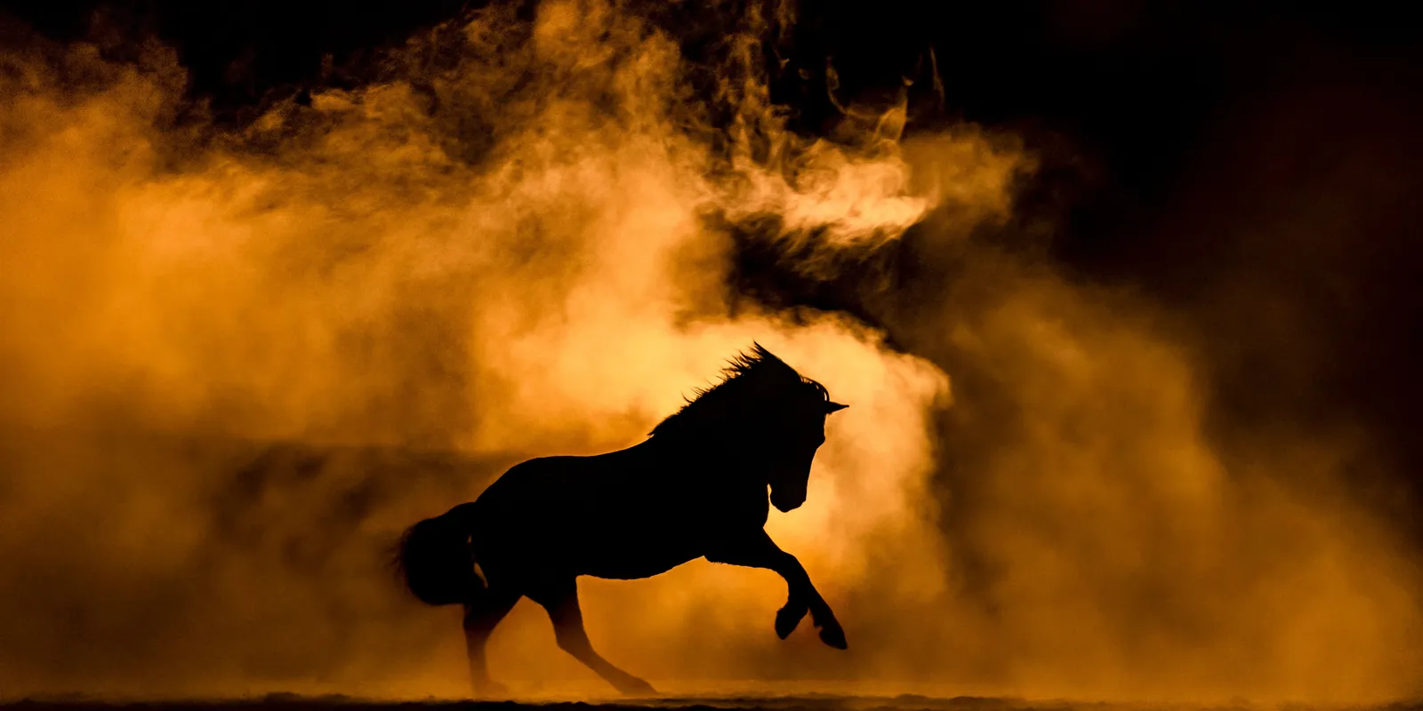 Ló éve: ezt mondja a magyar Nostradamus