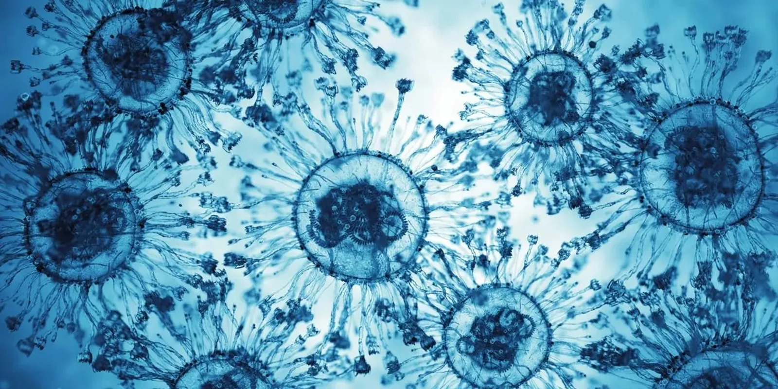 Halálos vírus: mit tud a Nipah, és kell-e tartanunk tőle?