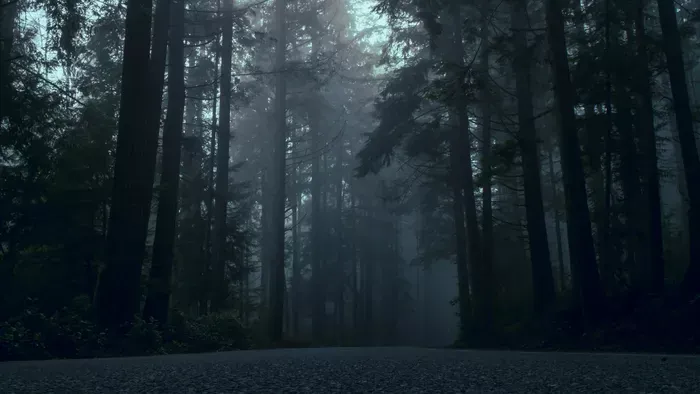 Saját sírját ásatta meg élettársával egy győri férfi