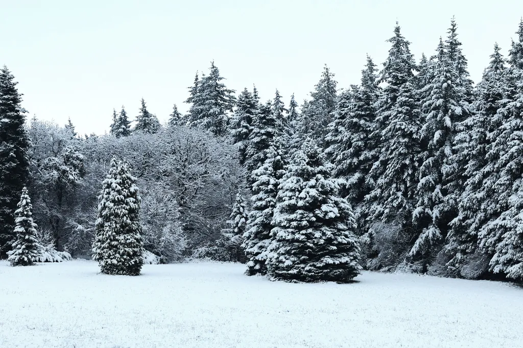 20251123 nagygerecsen tel havran zoltan magyar nemzet