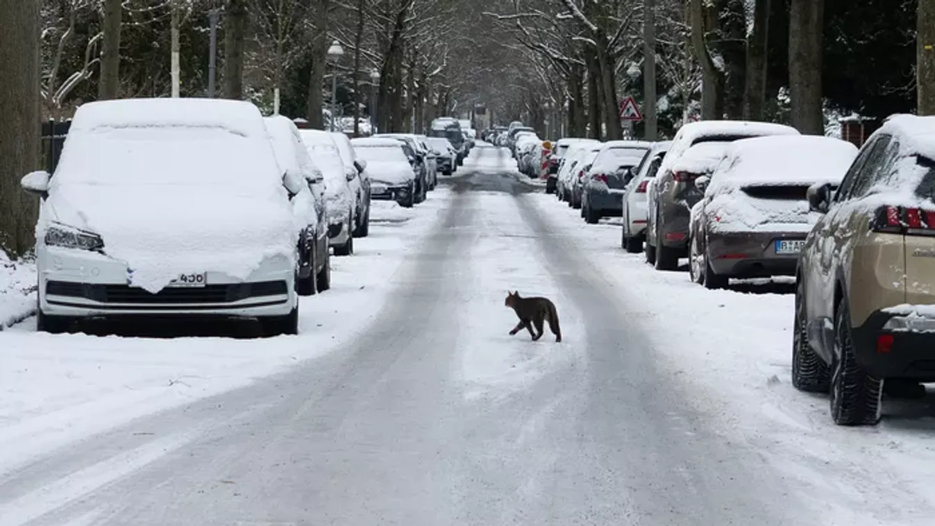Fontos közleményt adott ki a havazás miatt a Magyar Közút