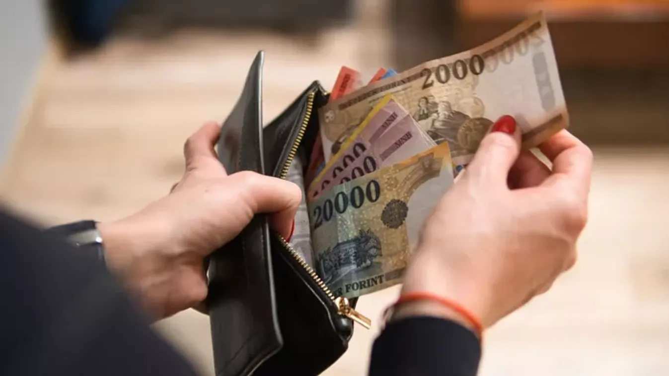 Nézőpont Intézet: A Tisza károsultja lenne minden magyar