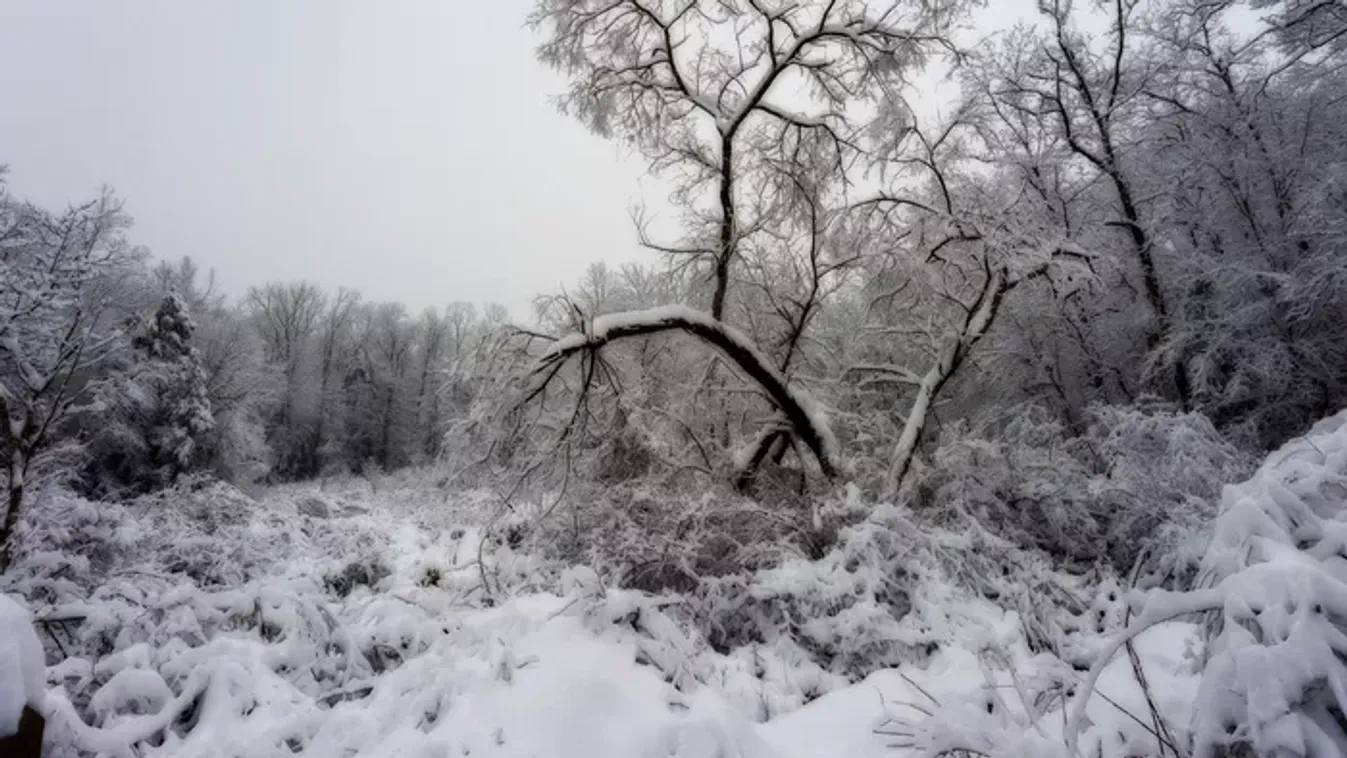 Orbán Viktor elmondta, miért jött jól ez a nagy havazás
