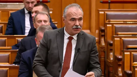 Nagy István: A fával fűtők számára is jár a kormány rezsistop döntéséből