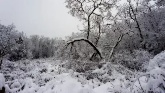 Orbán Viktor elmondta, miért jött jól ez a nagy havazás