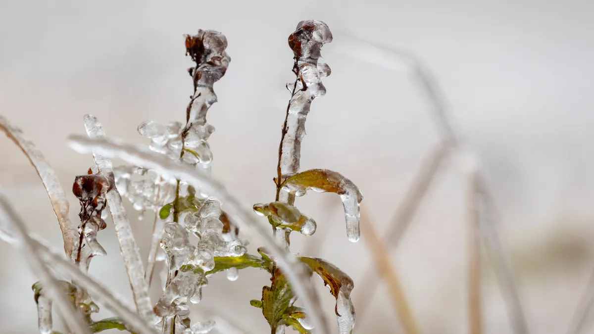 Mínusz 25 fokot mértek Szécsényben