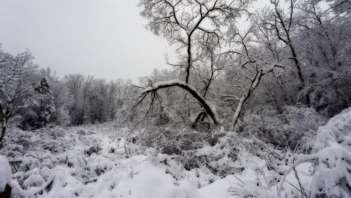 Orbán Viktor elmondta, miért jött jól ez a nagy havazás