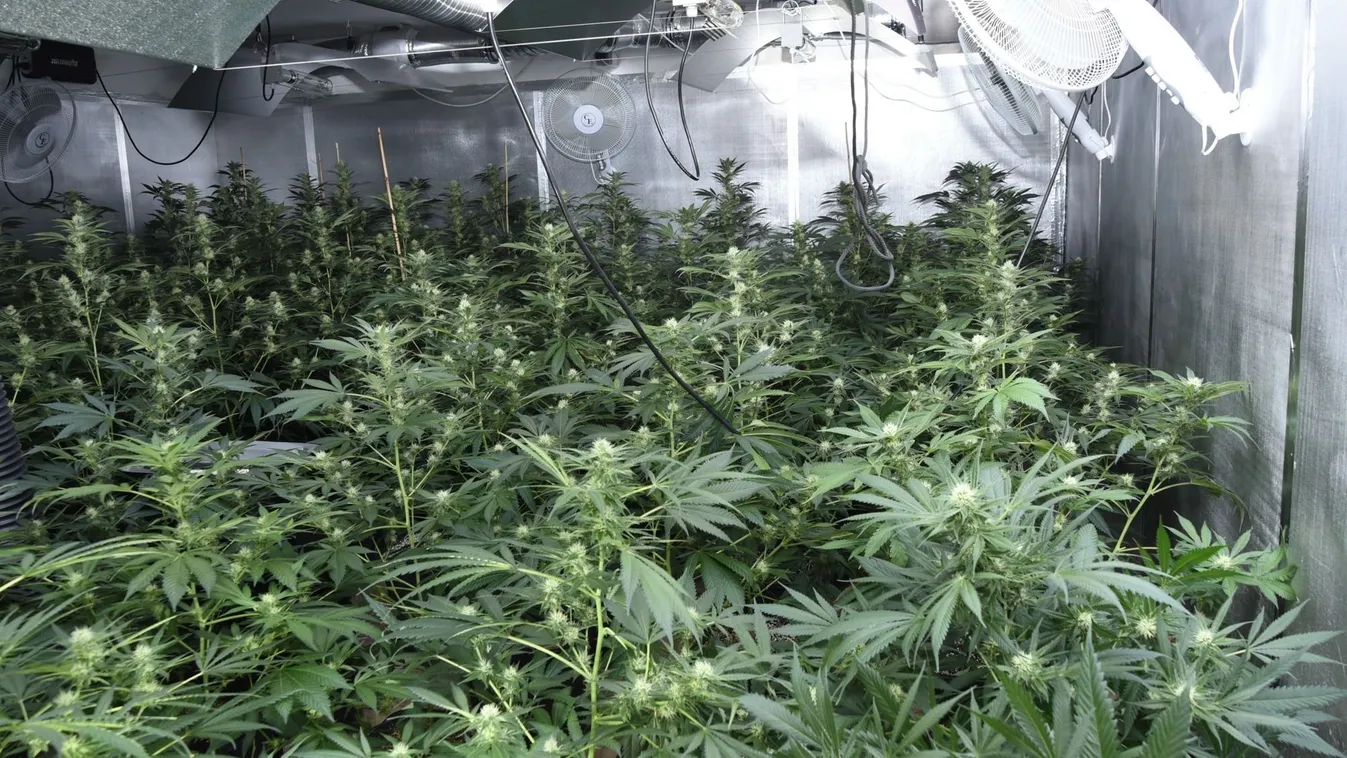 Hatalmas drogfarmot fedeztek fel egy rendőrőrssel szemben