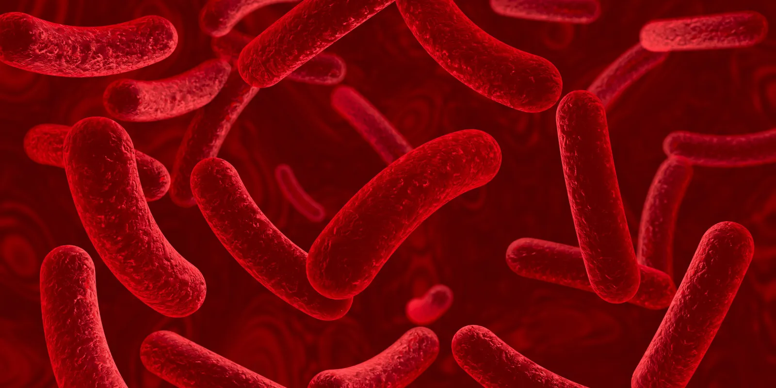 Járvány tört ki egy magyar általános iskolában