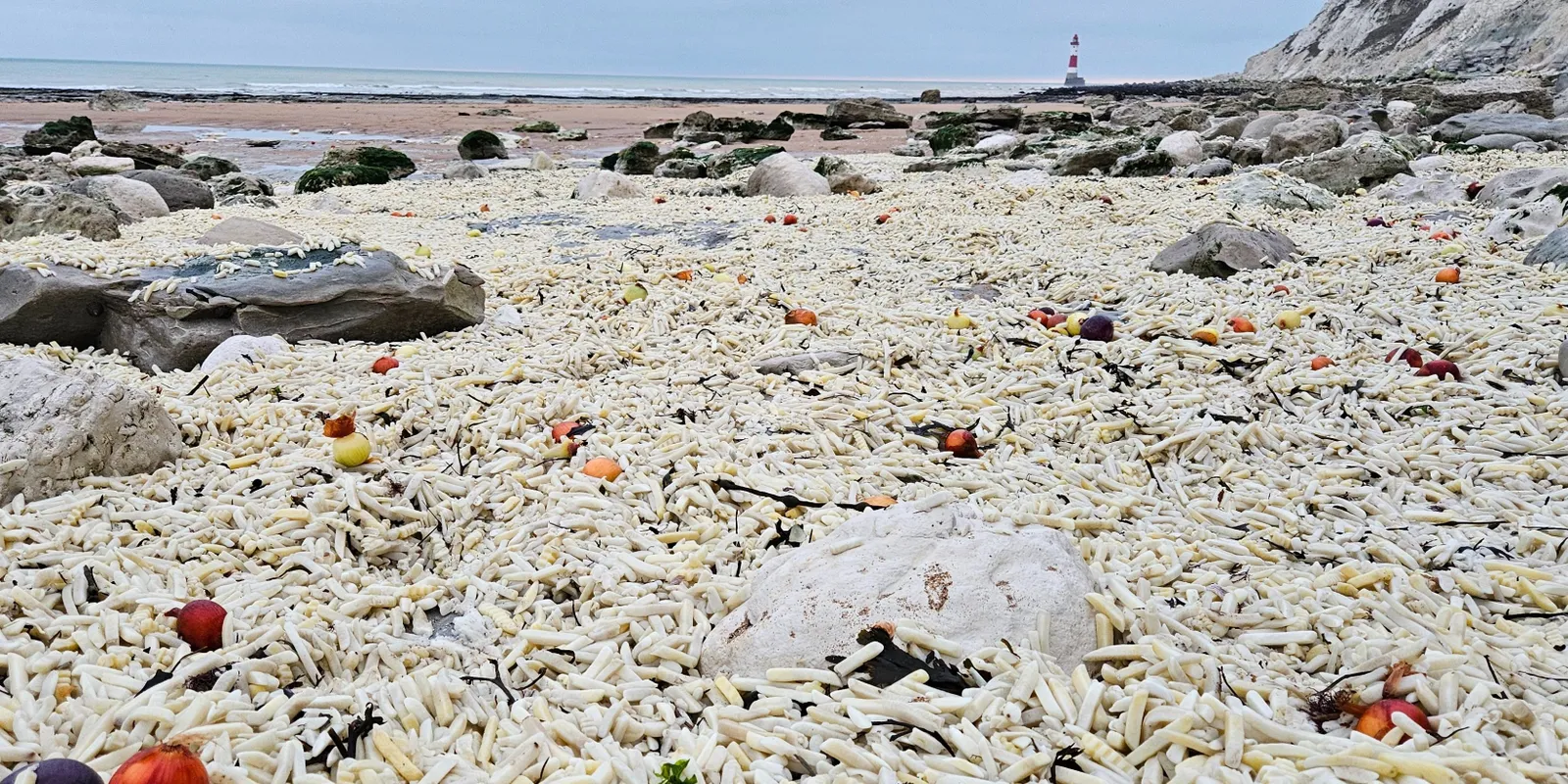 Mirelit hasábburgonya lepett el egy brit tengerpartot