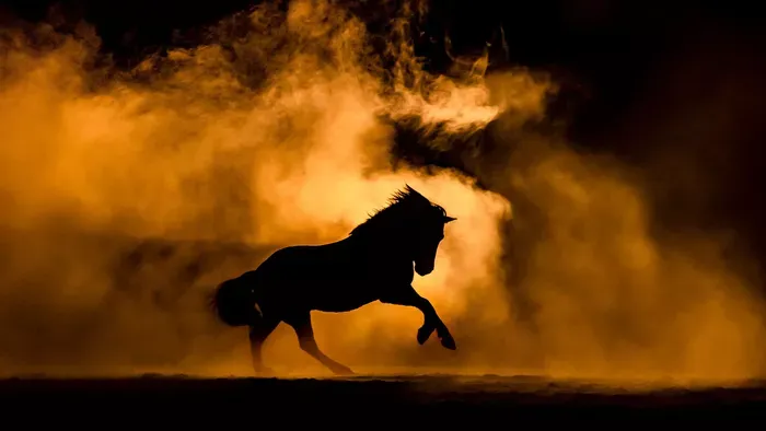 Ló éve: ezt mondja a magyar Nostradamus