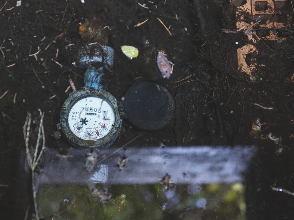 a20211027_vizora_meroora_fg_fmh