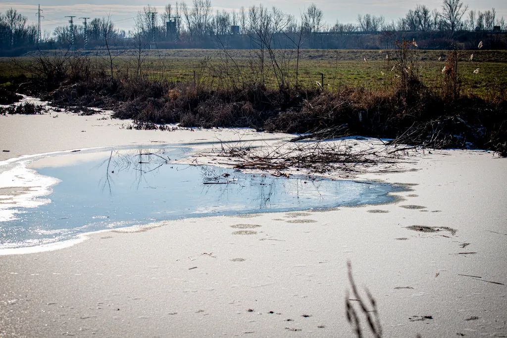 20260105 Felsőzsolca
Hódok nyomai fedezhetőek fel a Kis Sajó mentén
Fotó: Takács József TJ
Észak-Magyarország