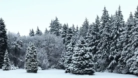 Időjárás: Extrém hideg, -20 fok várható ezekben a vármegyékben