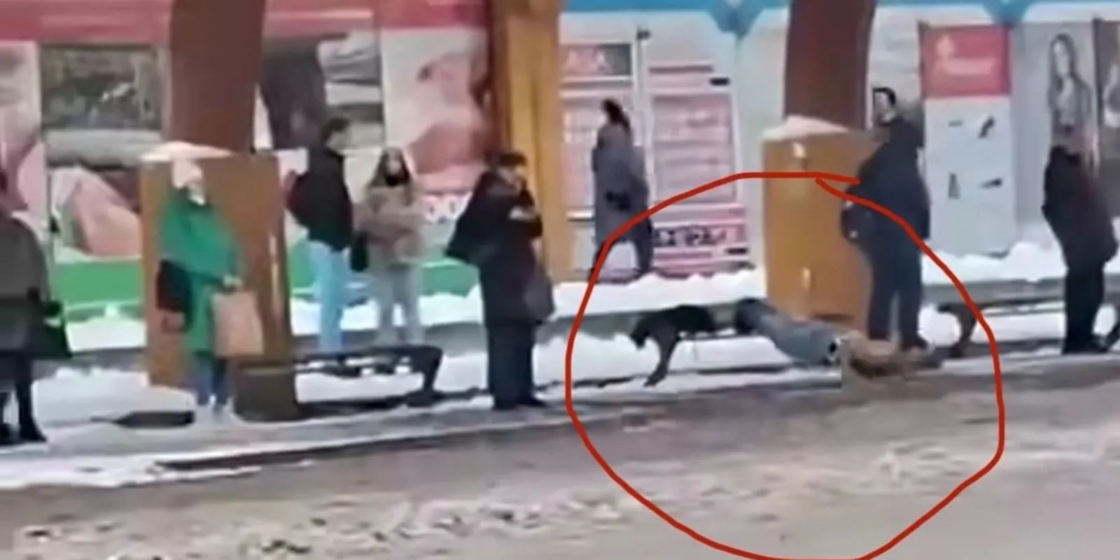 Félmeztelen férfi nyomta a fekvőtámaszokat a hóban Szolnokon