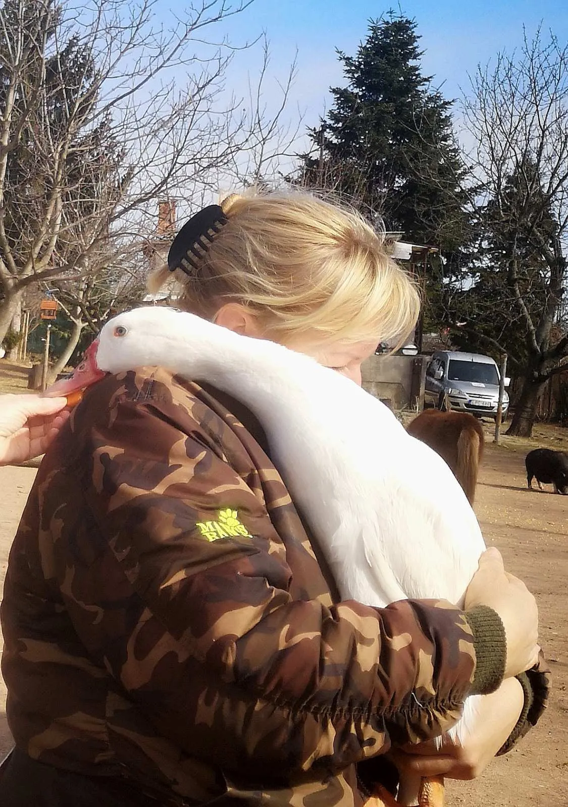 Rózsa gyerekeként szereti az állatait