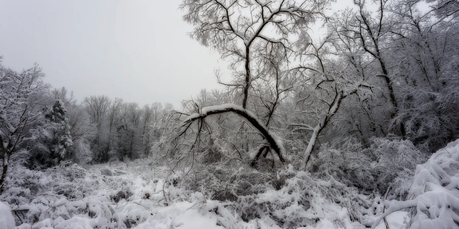 Orbán Viktor elmondta, miért jött jól ez a nagy havazás