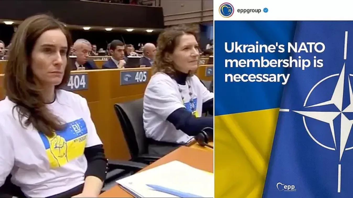 Tisza Párt: Migráció, ukrajnai háború és a rezsicsökkentés