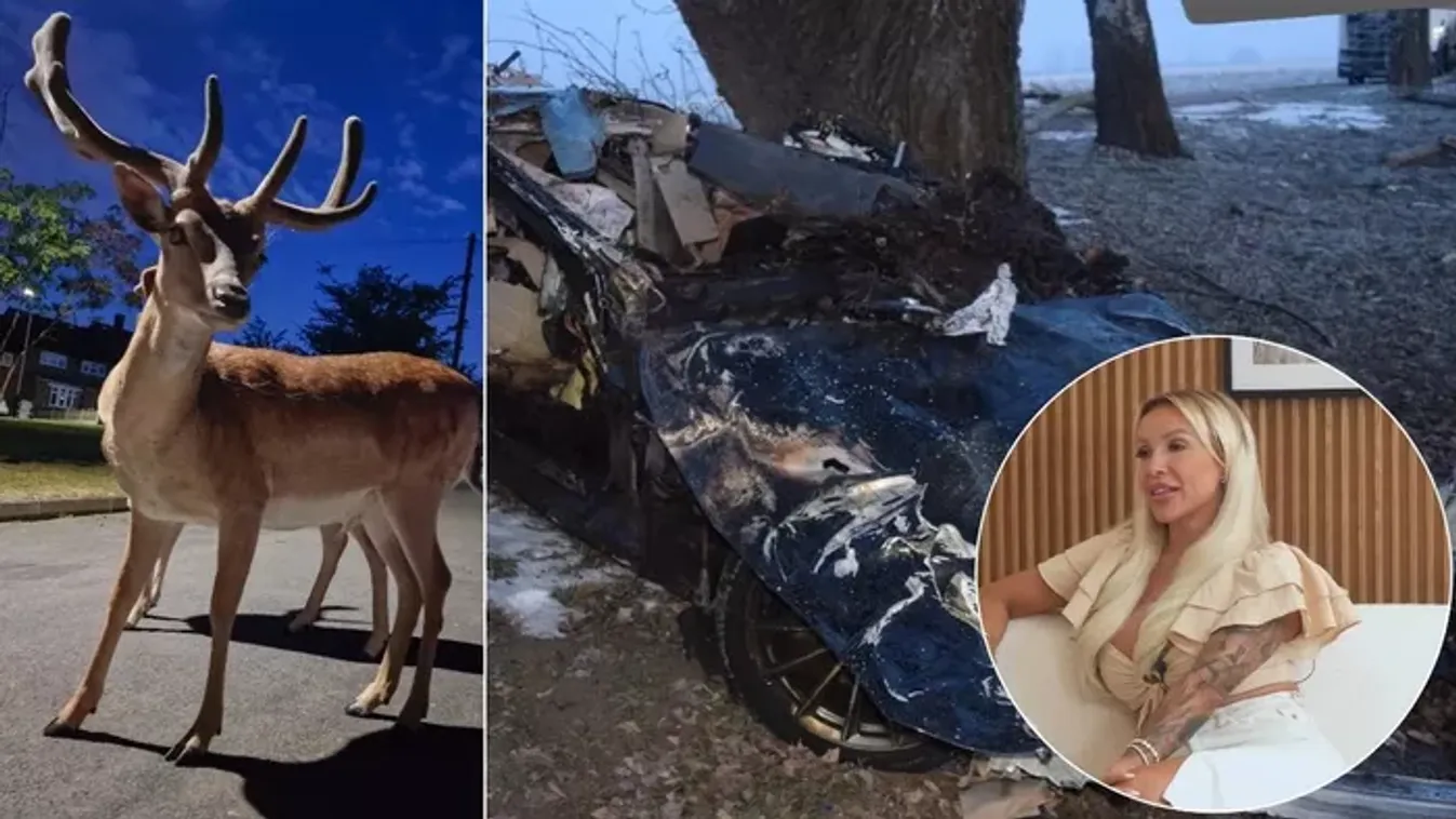 Jákli Mónika balesete: Ez lehetett a tragédia valódi oka