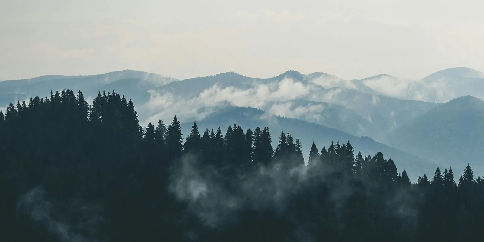 A sérült férfi fagyoskodva töltötte az éjszakát az erdőben