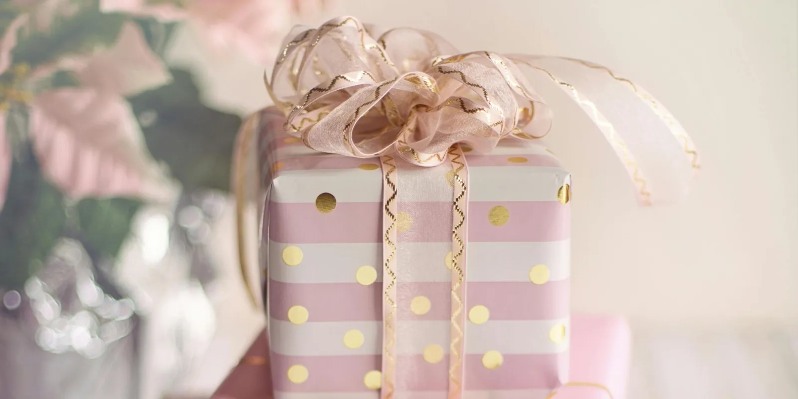 60 lottószelvényt kapott ajándékba, milliomos lett