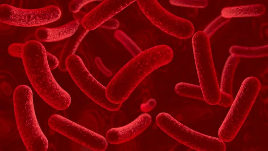 Járvány tört ki egy magyar általános iskolában, a tanulók fele megbetegedett