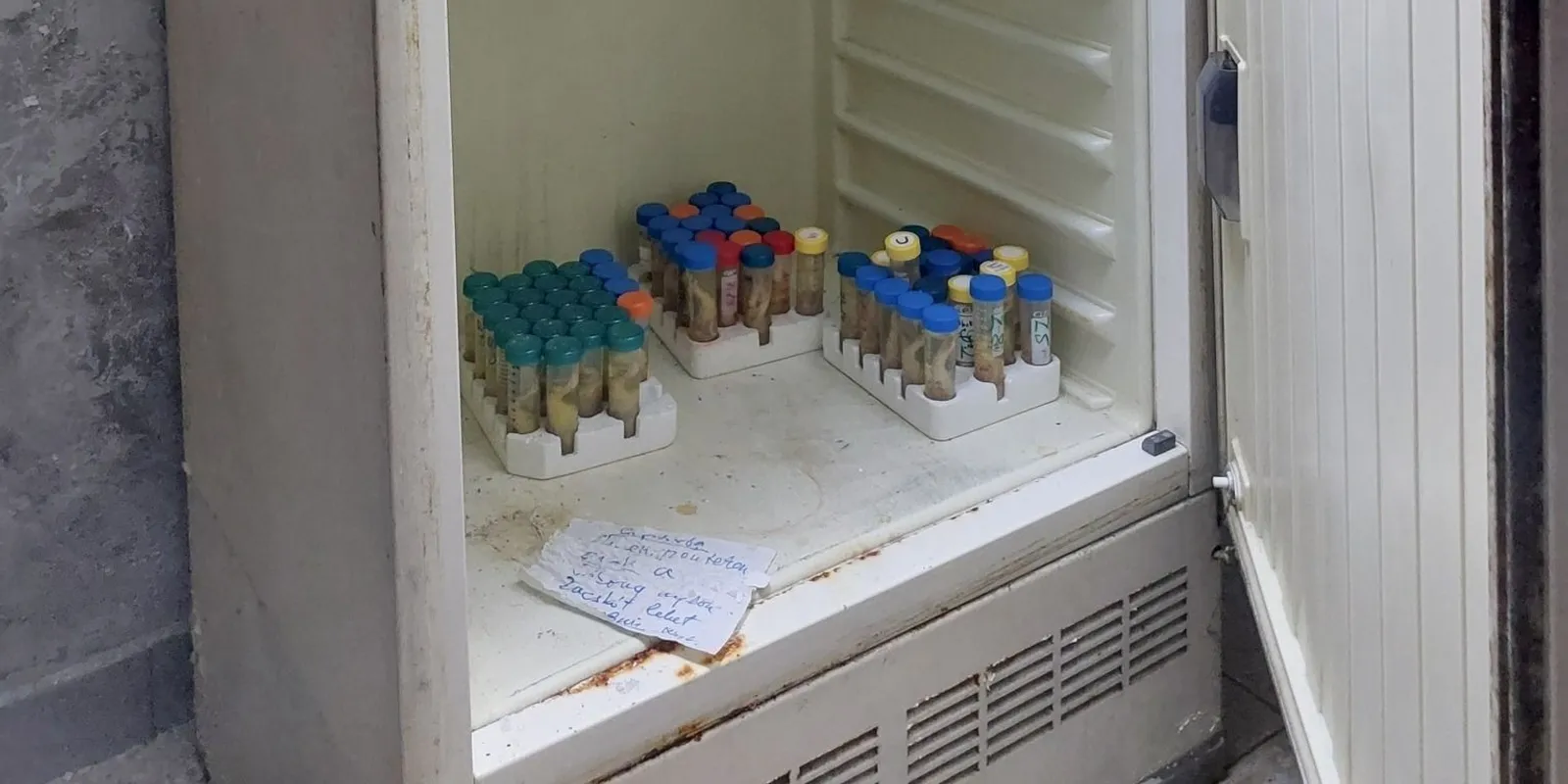 Állatkísérleteket végző, titkos, elhagyatott kutatólabort találtak