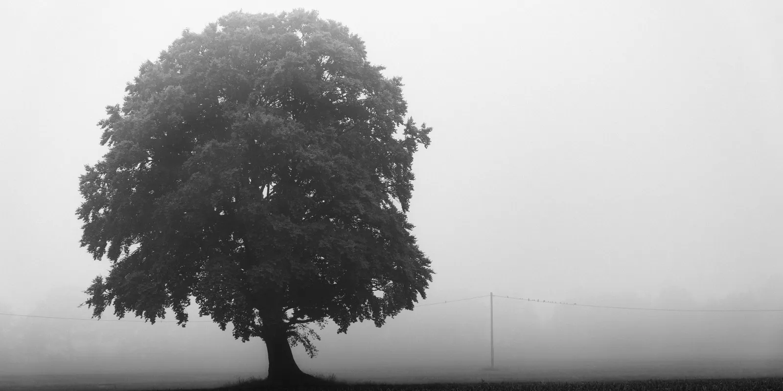 Kiadták a riasztást: ez most hat óránál is tovább tart majd