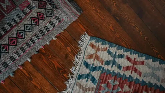 Nem hiszed el, hogy mik élnek a szőnyegedben! – most megmutatjuk!