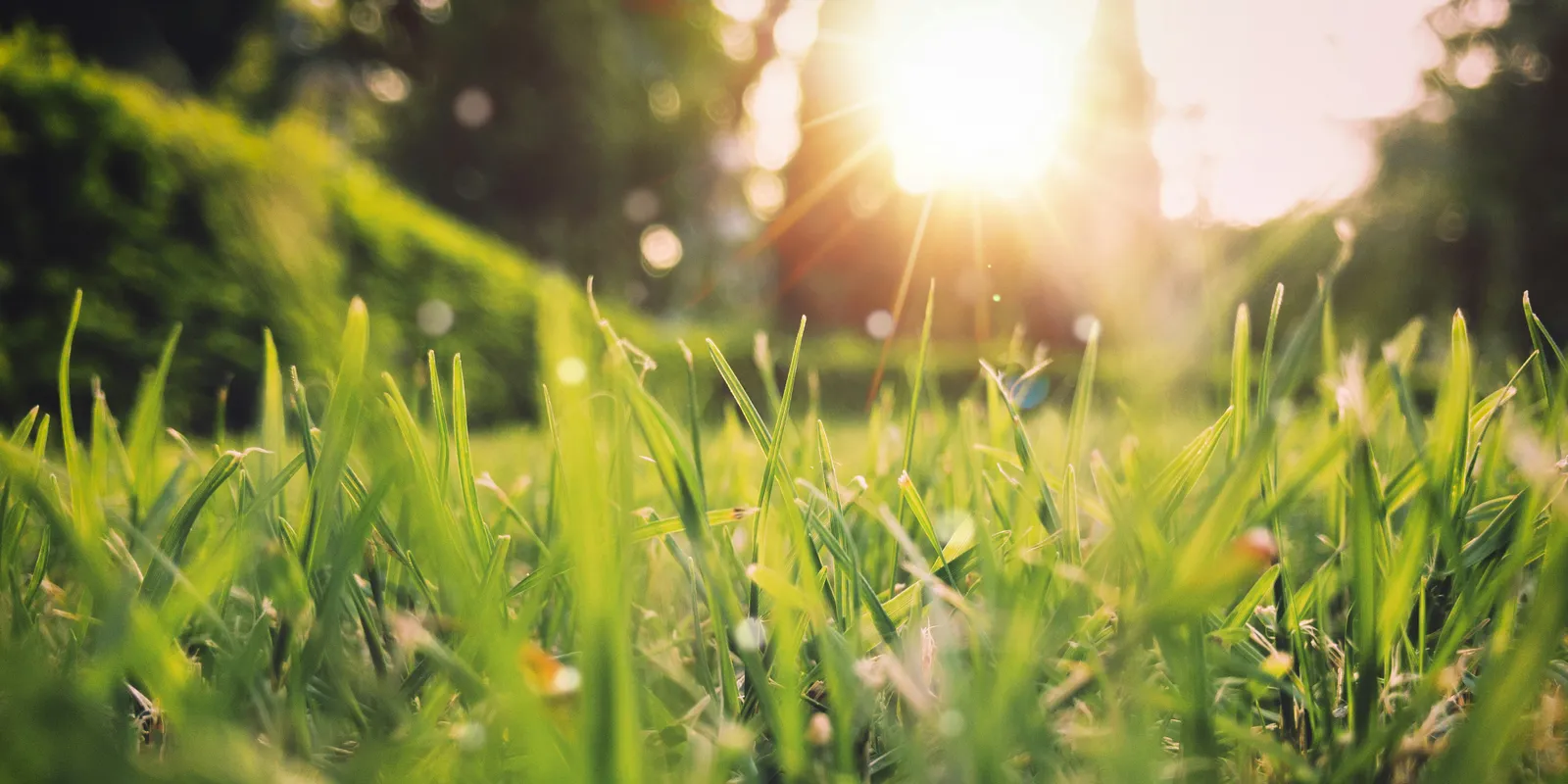 Óriási fordulat áll be az időjárásban