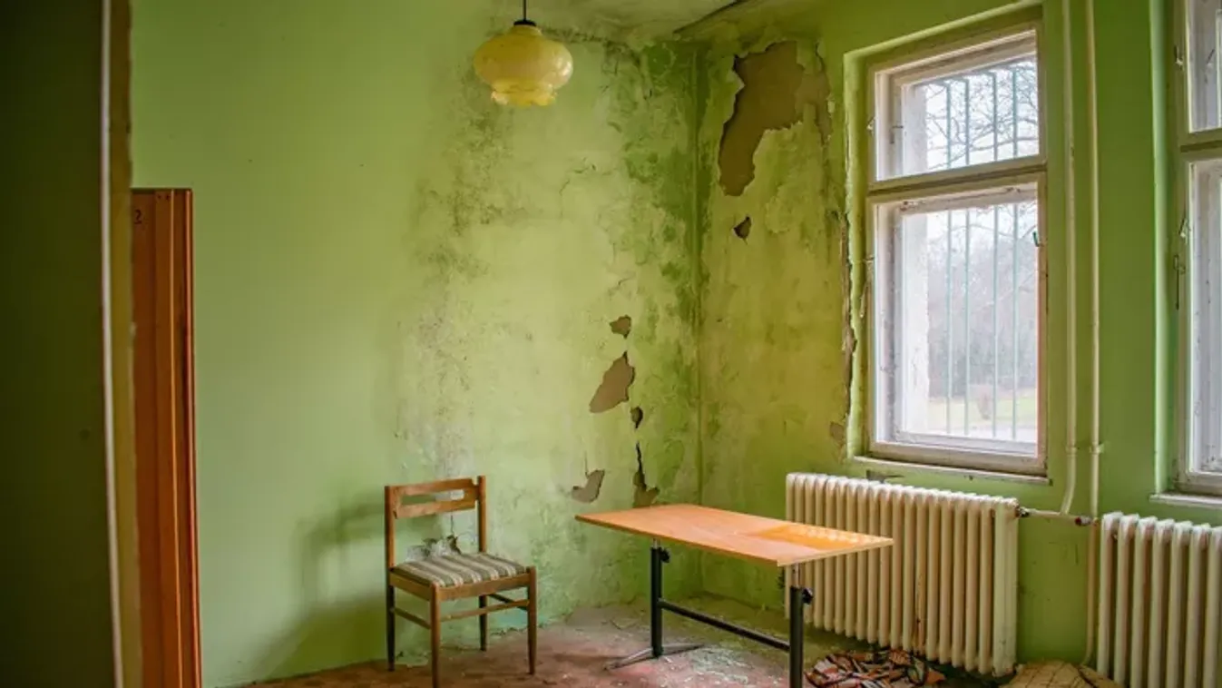 Rejtély a munkásszállón