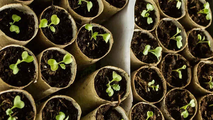 Gyűjtsd össze a vécépapír-gurigát, eszméletlen, mire jó