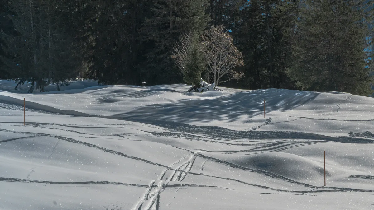 alt=Tragédia történt Linzben, ahol egy hókotró elgázolt egy férfit