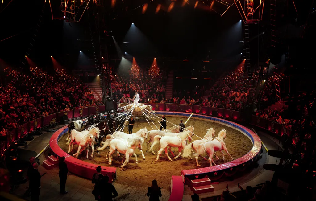 cirkuszfesztivál kulisszák 