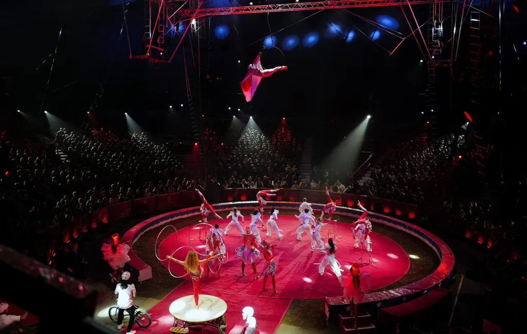 cirkuszfesztivál kulisszák 