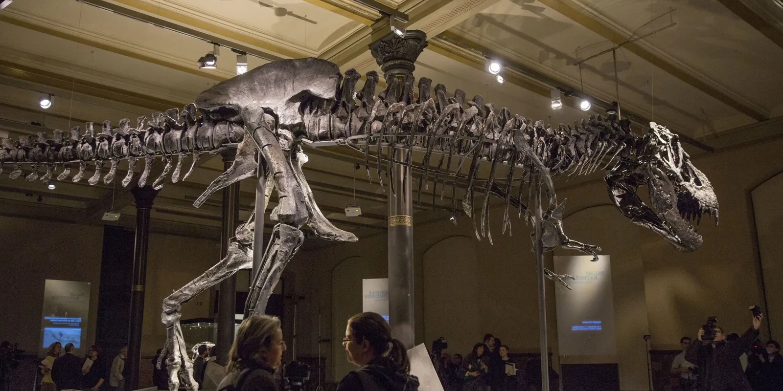 95 millió évvel ezelőtt élt, titokzatos fajt fedeztek fel