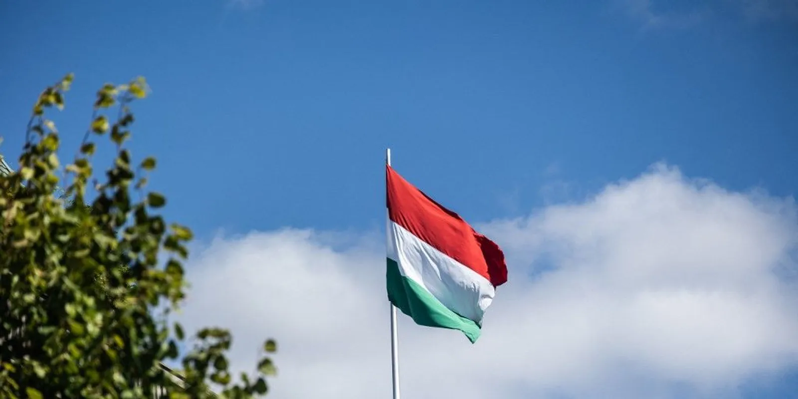 Szorítjuk ki a multikat