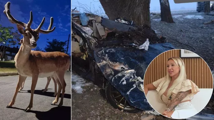 Jákli Mónika balesete: Ez lehetett a tragédia valódi oka