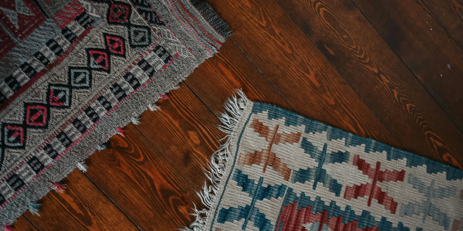 Nem hiszed el, hogy mik élnek a szőnyegedben!