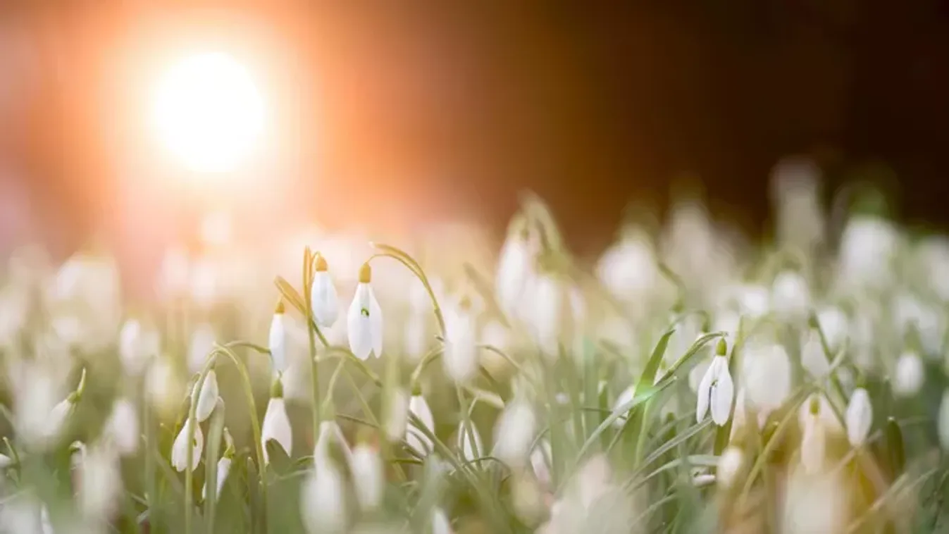 Érkezik a tavasz? Újabb fordulatot tartogat az időjárás