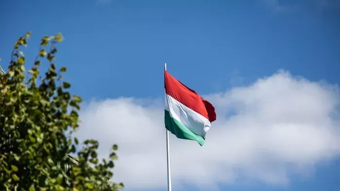 Szorítjuk ki a multikat