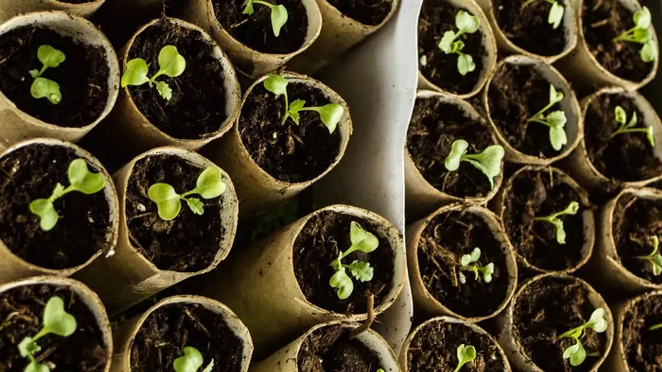 Gyűjtsd össze a vécépapír-gurigát, eszméletlen, mire jó