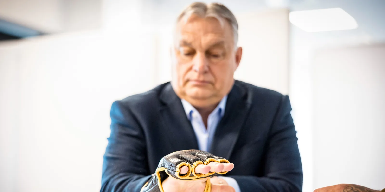 Orbán Viktorról mondtak véleményt a német emberek