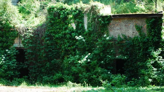 Felfedezték a 100 éves pincét, ami egykor egy jómódú magyar család birtokában volt – Galéria!