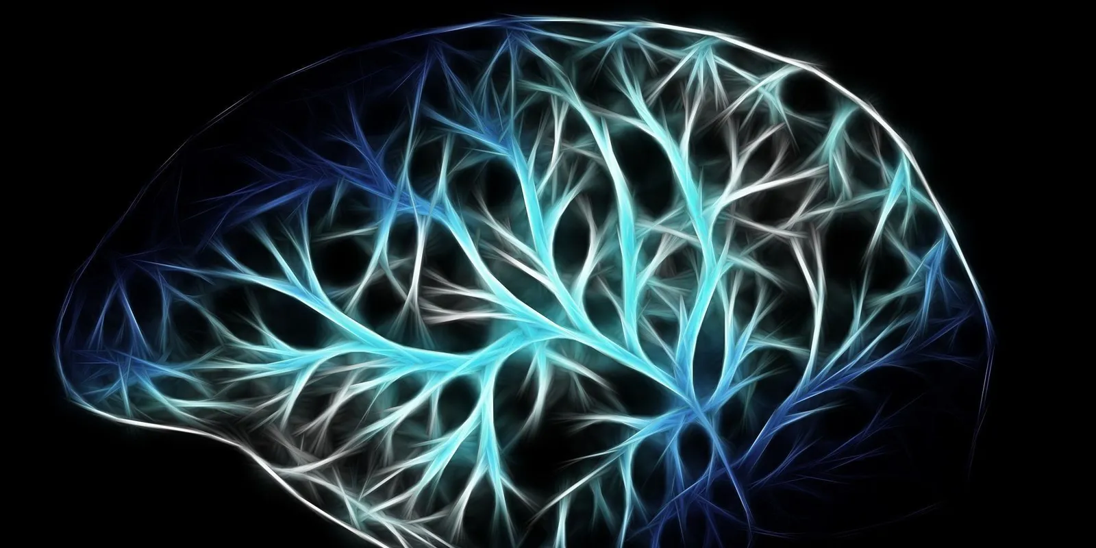 Halál után az agyad órákig ébren lehet