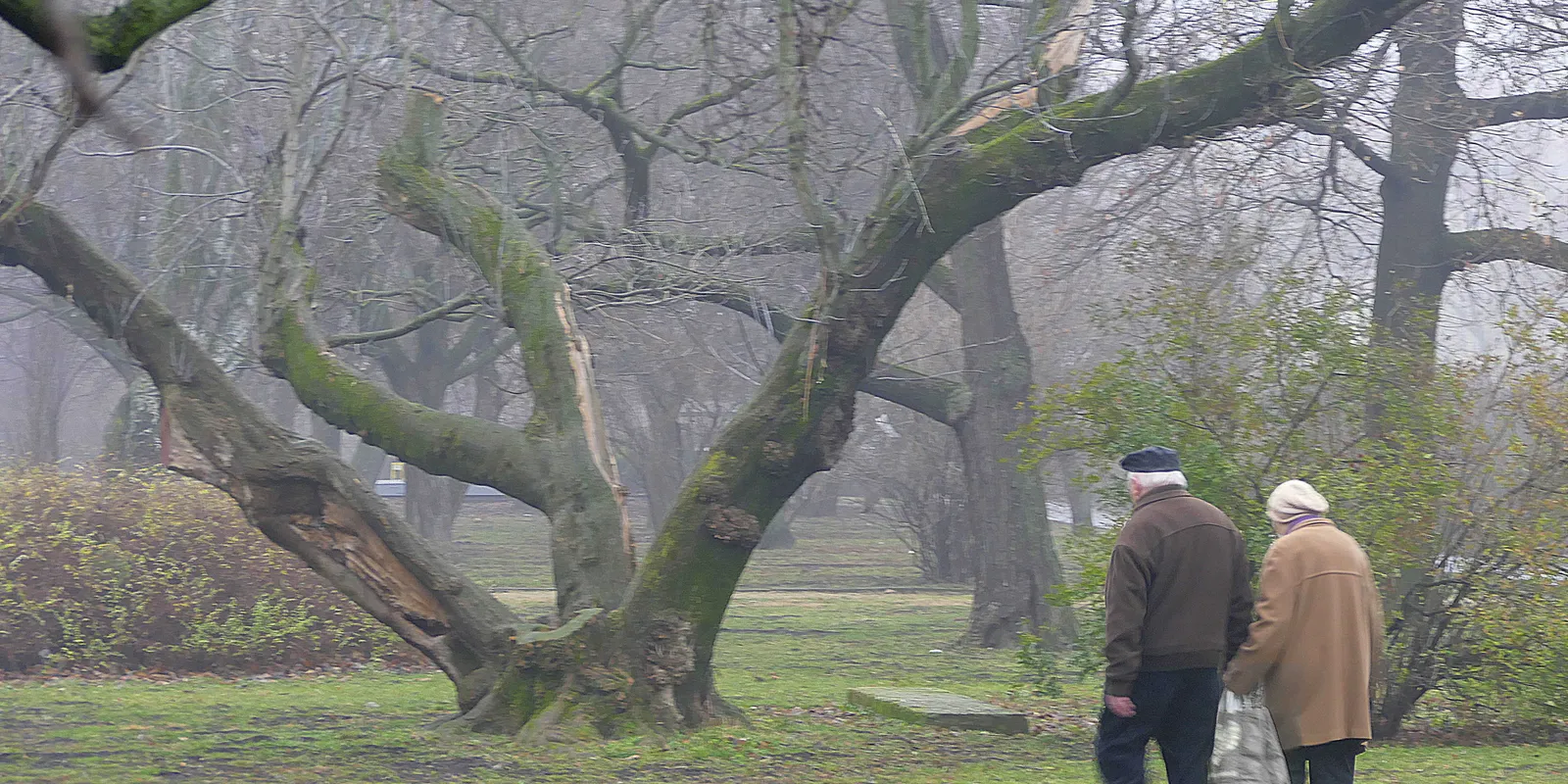 13. havi nyugdíj: a Tisza megint megszüntetné