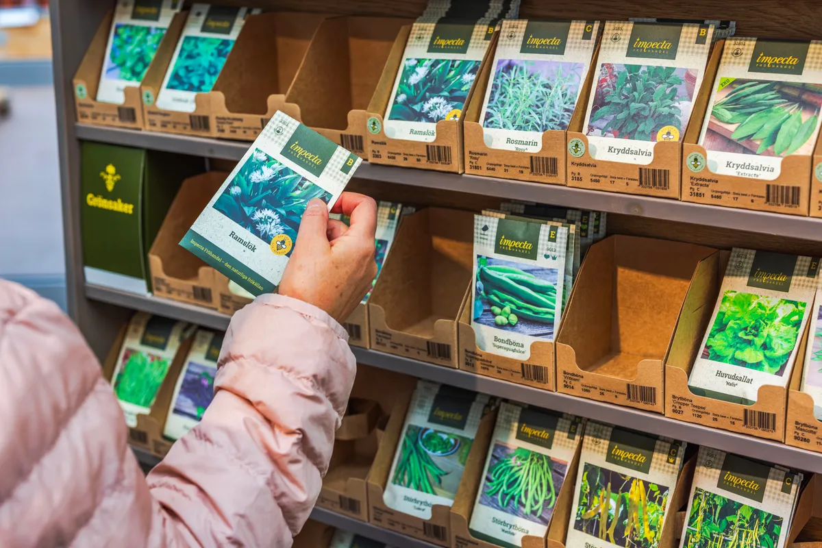 A jó vetőmag választás dönti el, hogy bőséges lesz-e a termés.