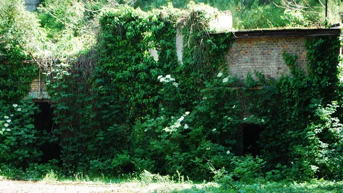 Nem hiszed el, mit rejtett a közel 100 éves pince – Galéria!